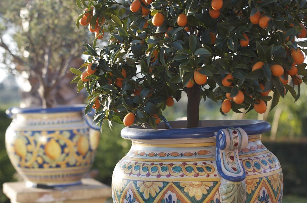 Villa Papardo Giarre Δωμάτιο φωτογραφία